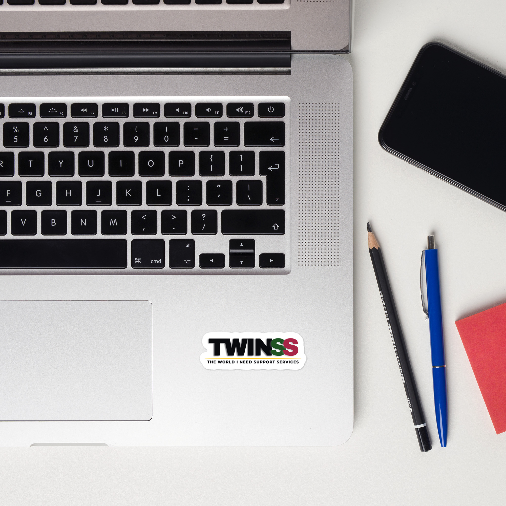 TWINSS - Vinyl Sticker